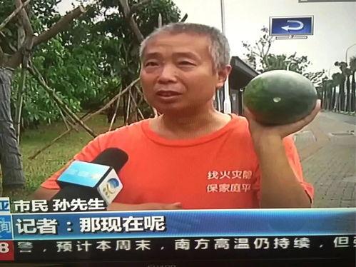 鞍山吃瓜群众事件,网络舆论的风暴与反思