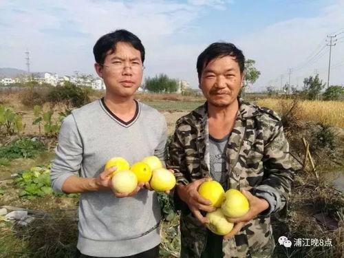 吃瓜群众汉中,吃瓜群众眼中的美食天堂