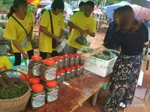 小九九吃瓜群众视频大全,揭秘热门视频背后的故事与笑料