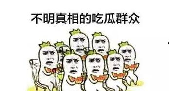 吃瓜群众都被圈粉,被圈粉的神奇魅力揭秘
