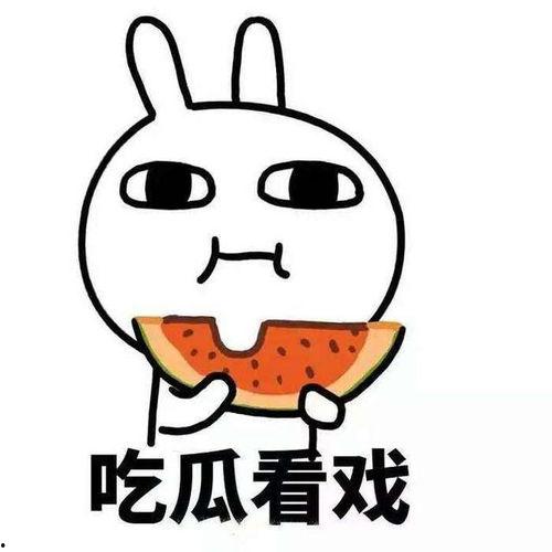 吃瓜妹吃瓜群众,揭秘网络舆论场的众生相