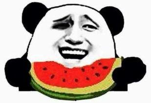 吃瓜妹吃瓜群众,揭秘网络舆论场的众生相