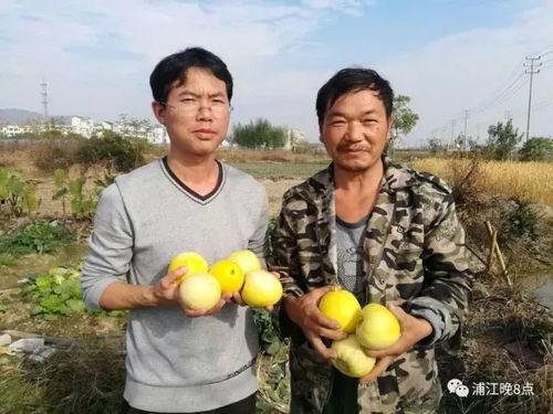 商水吃瓜群众,揭秘当地生活百态