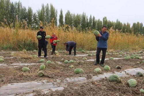 吃瓜群众岱岱 新,网络红人的崛起之路