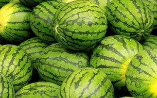 吃瓜群众反而西瓜被扔,一场荒诞的瓜界风波