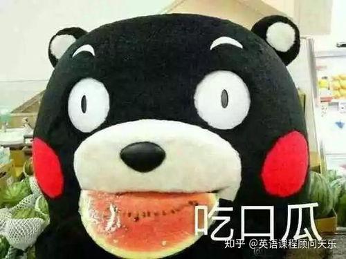 创作人吃瓜群众怎么形容,吃瓜群众视角下的娱乐圈风云录