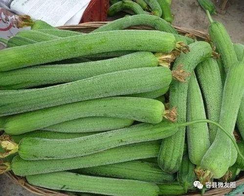 吃瓜群众爱大米,大米的故事