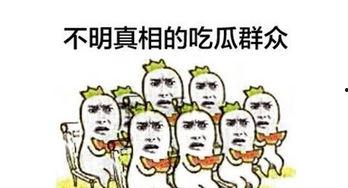细致吃瓜群众怎么形容成语,趣味解读成语百态
