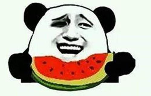 吃瓜群众又改名字了吗,名字再变，热情依旧