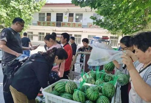 泗洪吃瓜群众事件视频曝光,视频曝光揭示惊人真相