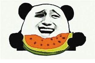 吃瓜群众食饱 足,揭秘美食背后的故事与魅力