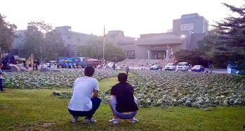 还是安心做吃瓜的群众吧,旁观者的智慧与选择