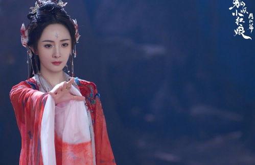 吃瓜群众白玉兰,吃瓜群众的视角解读娱乐圈风云