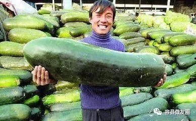 爱吃糖的吃瓜群众是谁啊,网络红人的甜蜜魅力