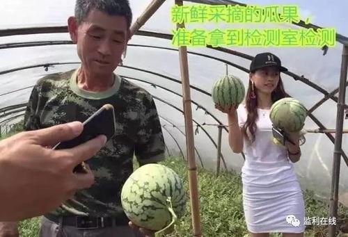 沈阳吃瓜群众直播,揭秘城市生活百态