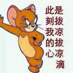 吃瓜群众图片上衣,揭秘吃瓜群众神秘T恤背后的故事