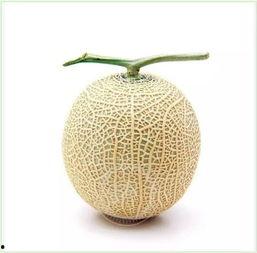 吃瓜群众果粒橙,吃瓜群众的热门话题解析